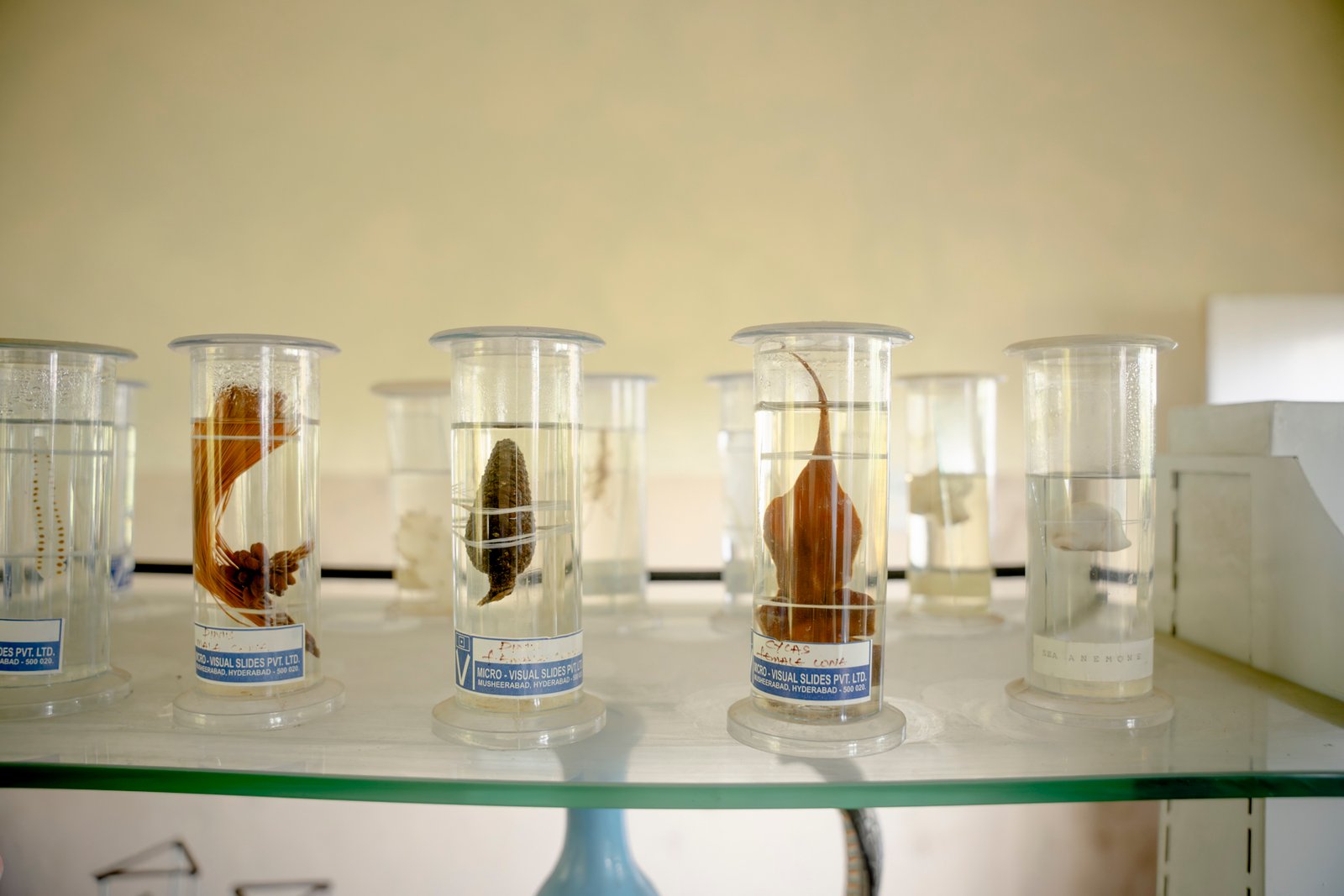 Laboratories