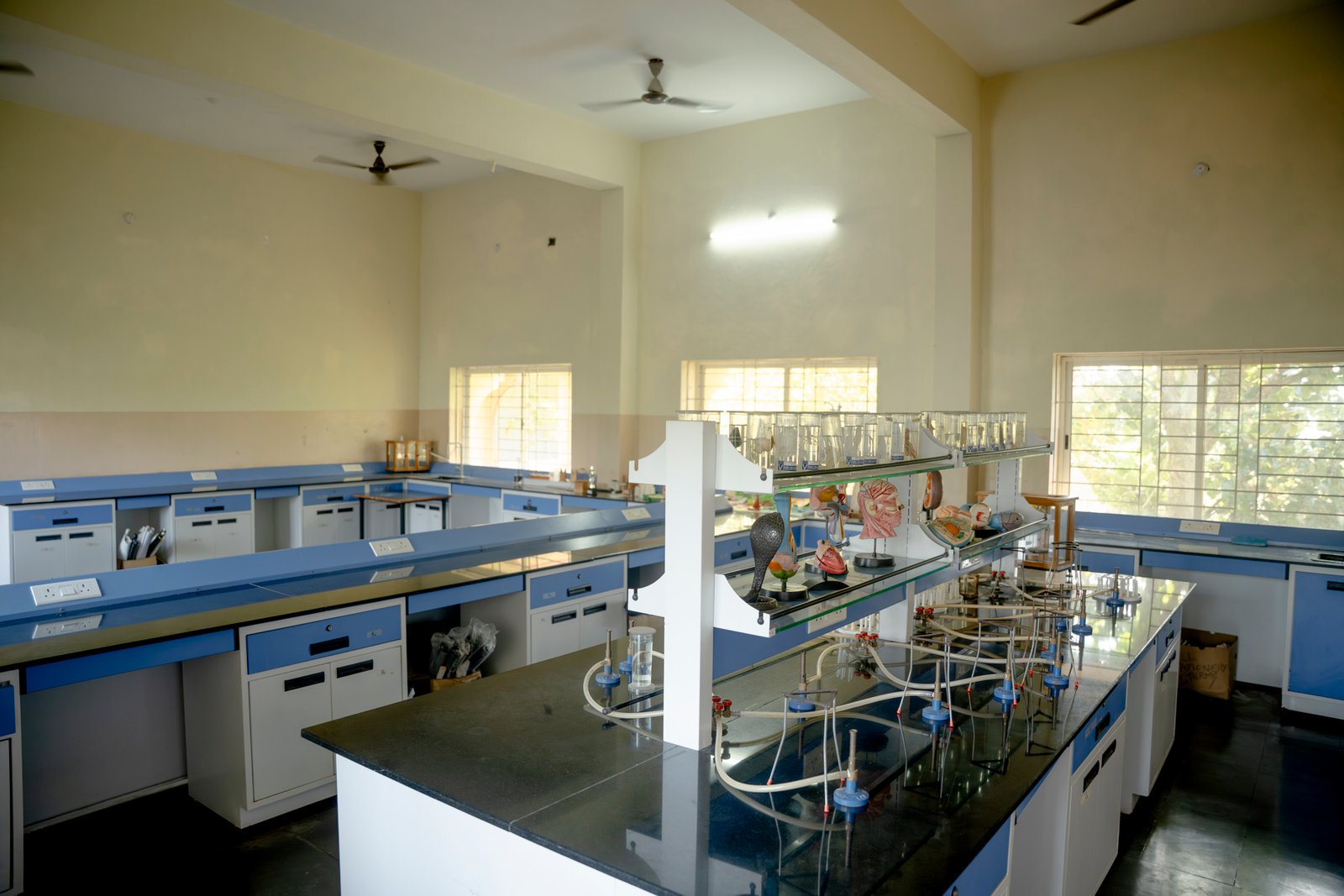 Lab and lab classes/UKP01998.jpg