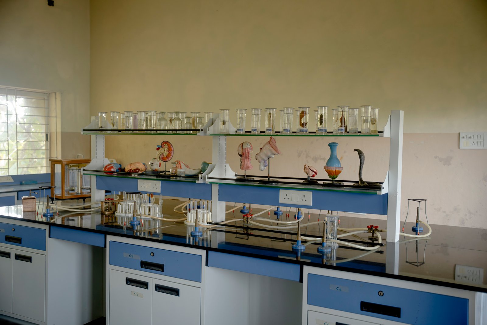 Lab and lab classes/UKP02005.jpg