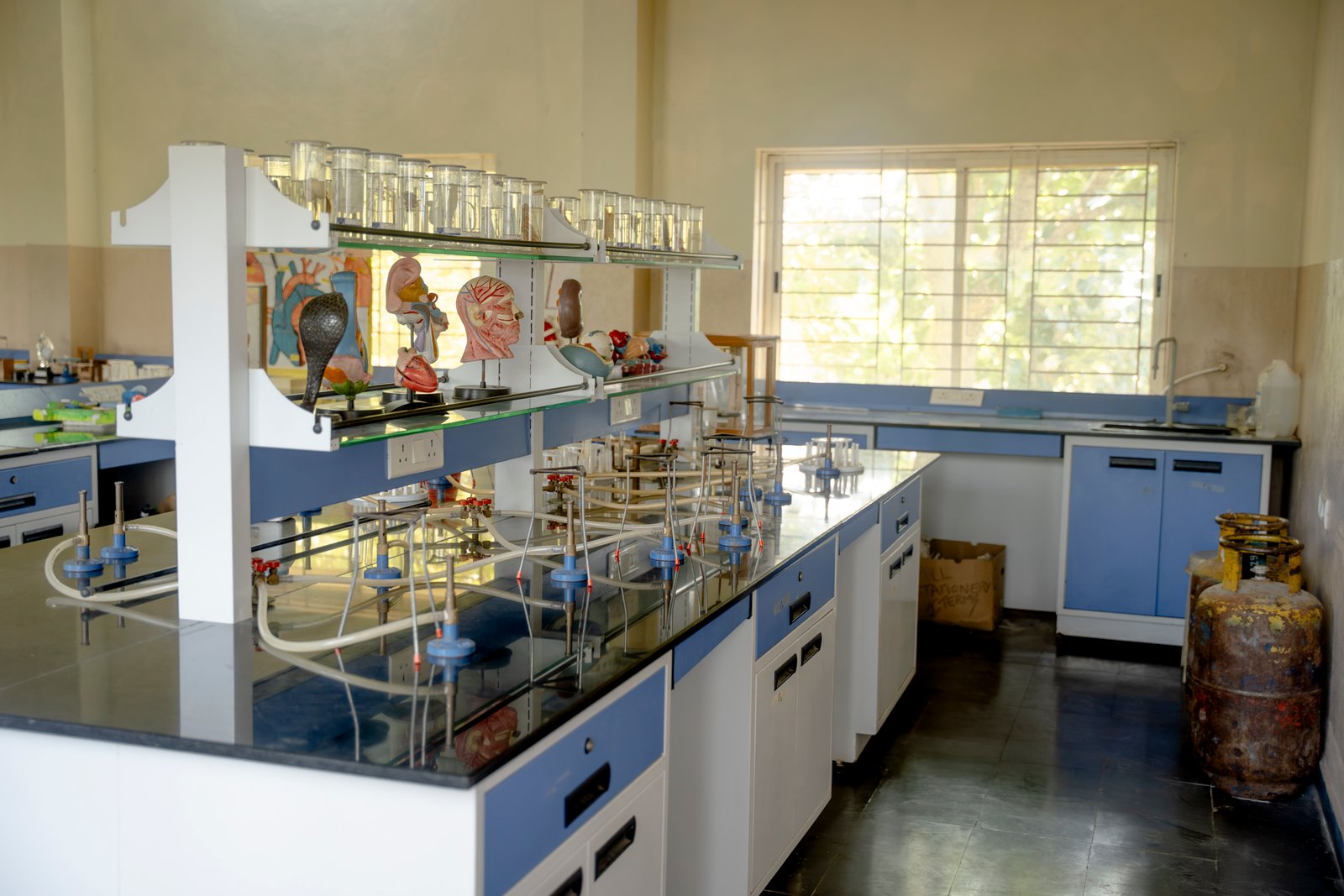 Lab and lab classes/UKP02017.jpg