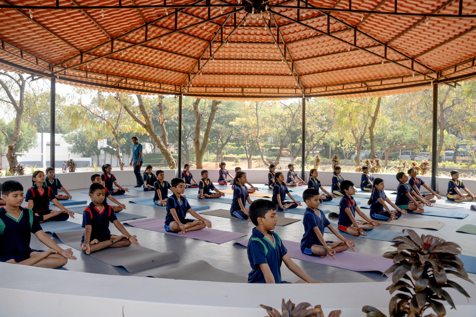 Yoga canopy/UKP02396.jpg