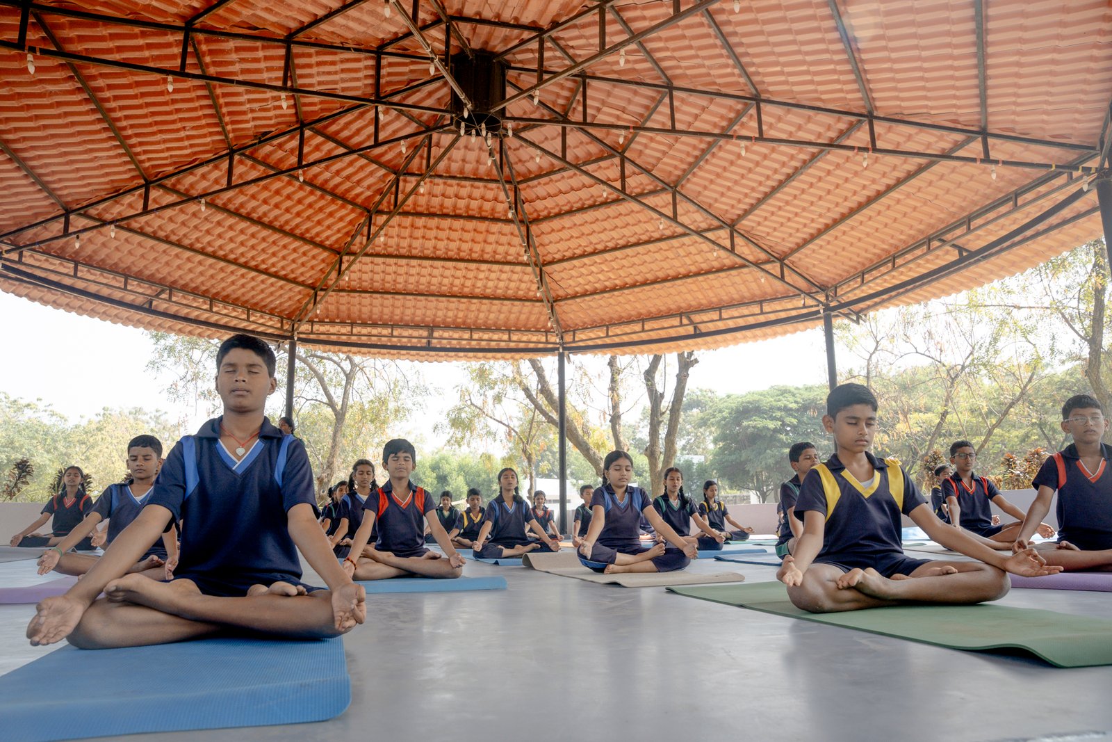 Yoga canopy/UKP02399.jpg